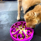 Slow Feeder Dog Bowl product image 5