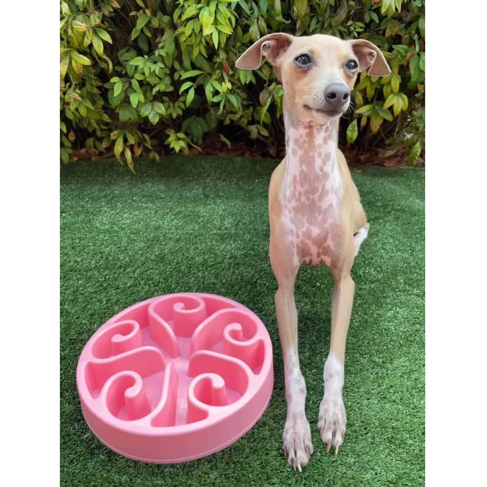 Slow Feeder Dog Bowl product image 6