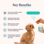 Dog Eye Support Soft Chews product image 4