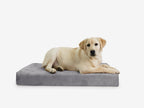 Orthopedic Dog Crate Bed product image 7