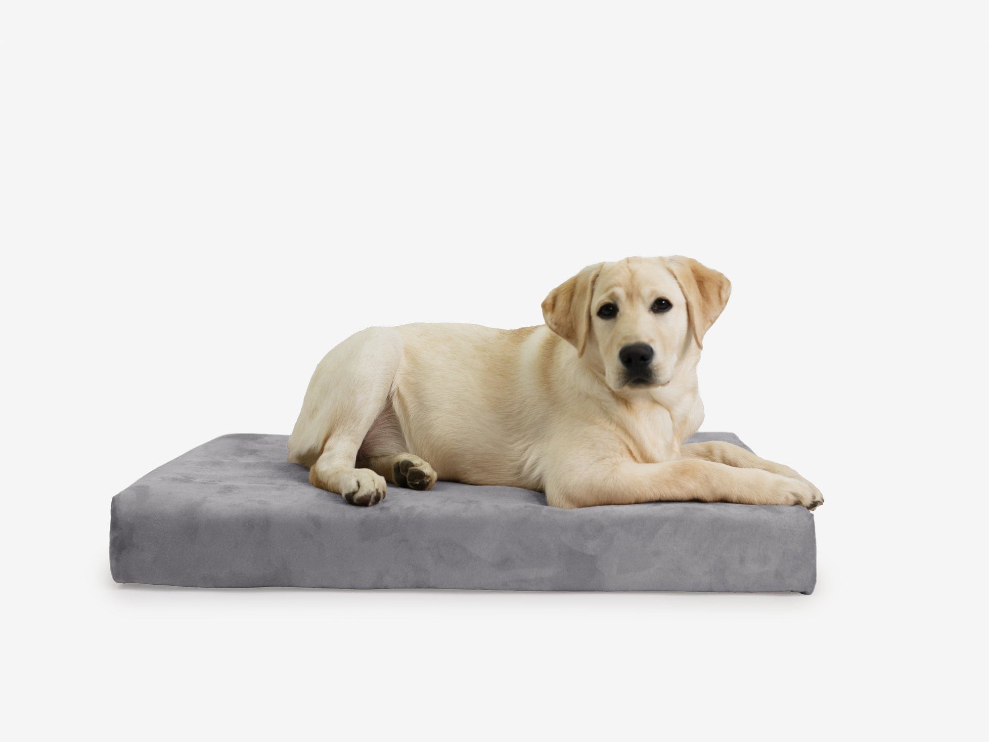 Orthopedic Dog Crate Bed product image 7
