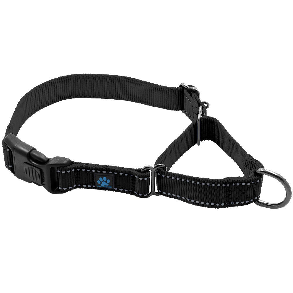 Martingale Dog Collar product image 5