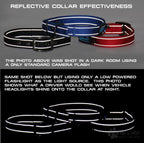 Martingale Dog Collar product image 11