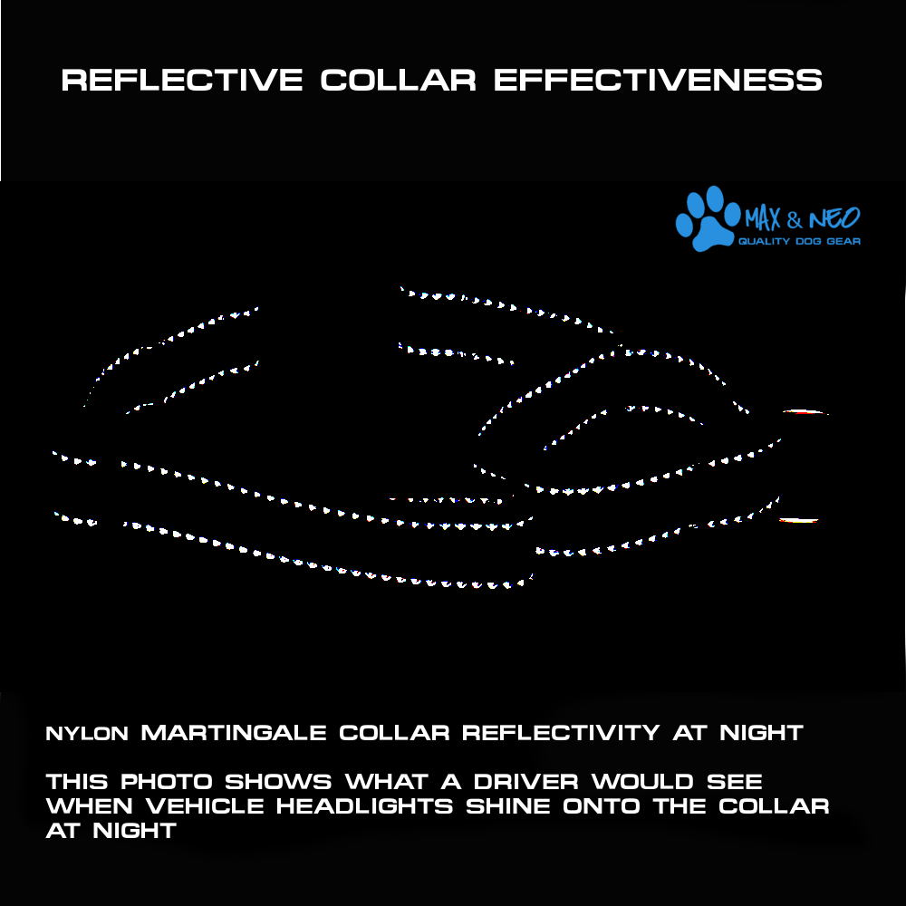 Martingale Dog Collar product image 12