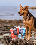 Salmon Skin Dog Treats product image 2