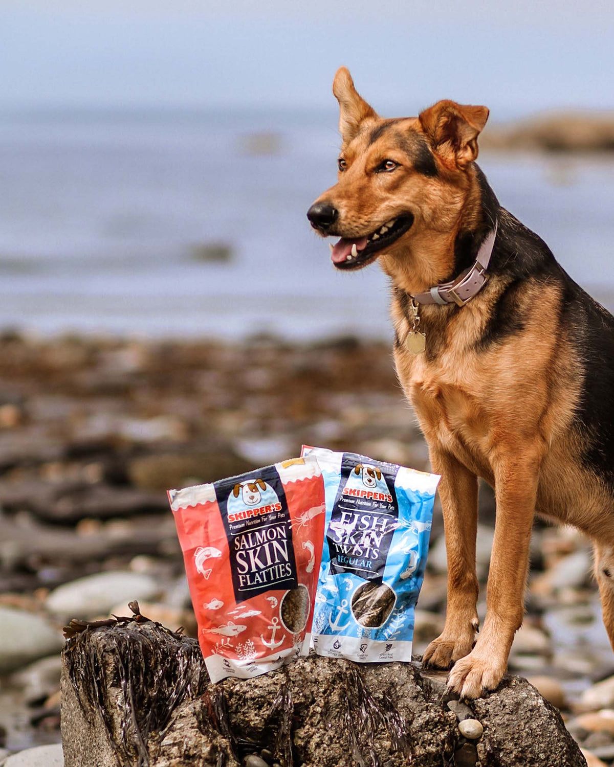 Salmon Skin Dog Treats product image 2