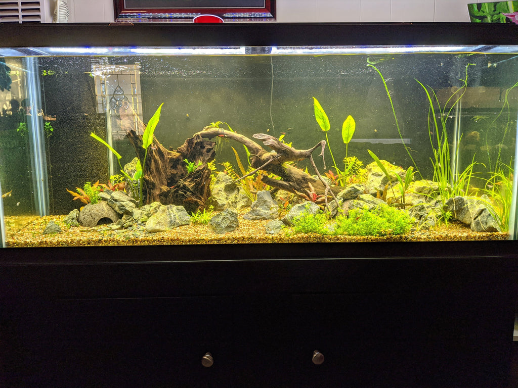 Planted Aquarium Soil Base Layer product image 13