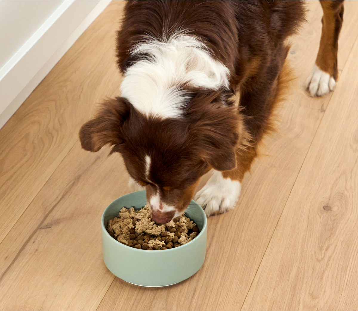 Salmon and Cod Dog Food Topper product image 5