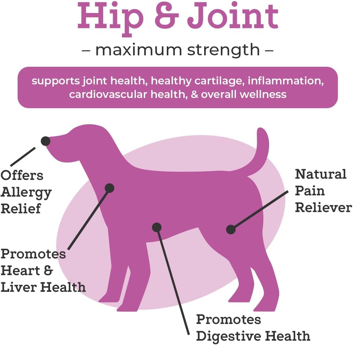 Dog Joint Supplement product image 3