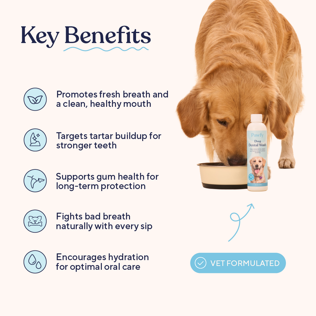 No-Brush Pet Dental Wash product image 3