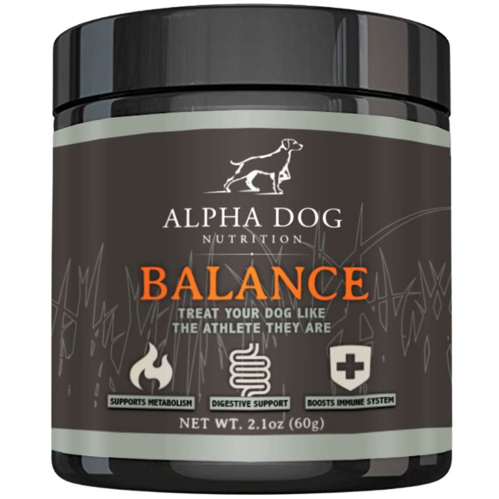 Dog Nutrition Supplement Bundle product image 2