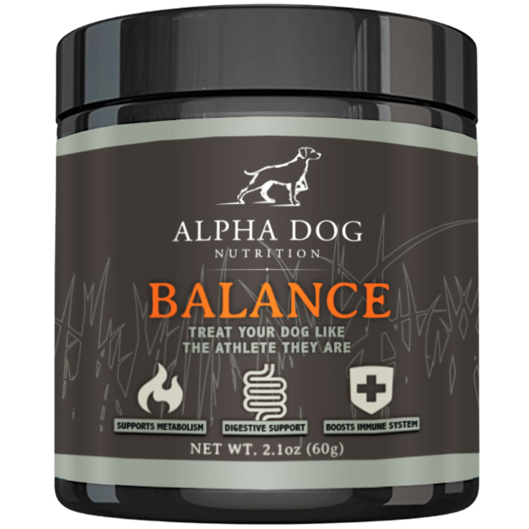 Dog Nutrition Supplement Bundle product image 2