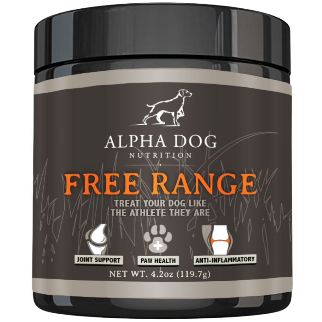 Dog Nutrition Supplement Bundle product image 4