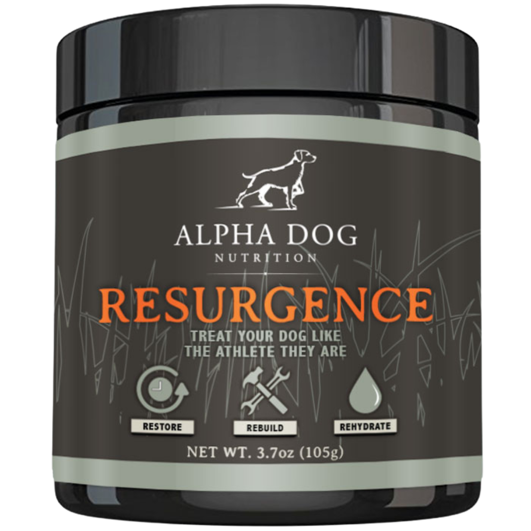 Dog Nutrition Supplement Bundle product image 6