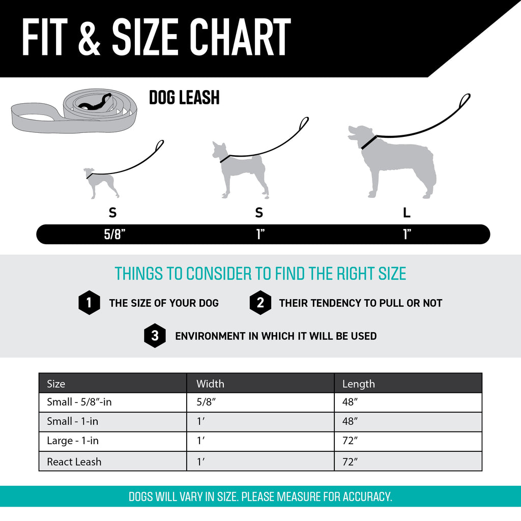 Dog Leash product image 5