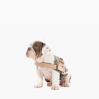 Adjustable Grab-Handle Dog Harness product image 62