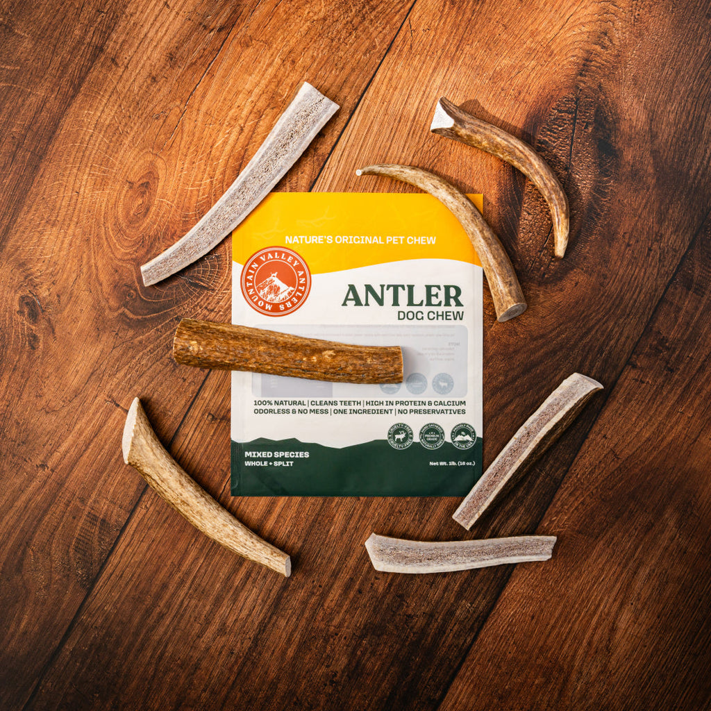 Mixed Antler Dog Chew Pack product image 3