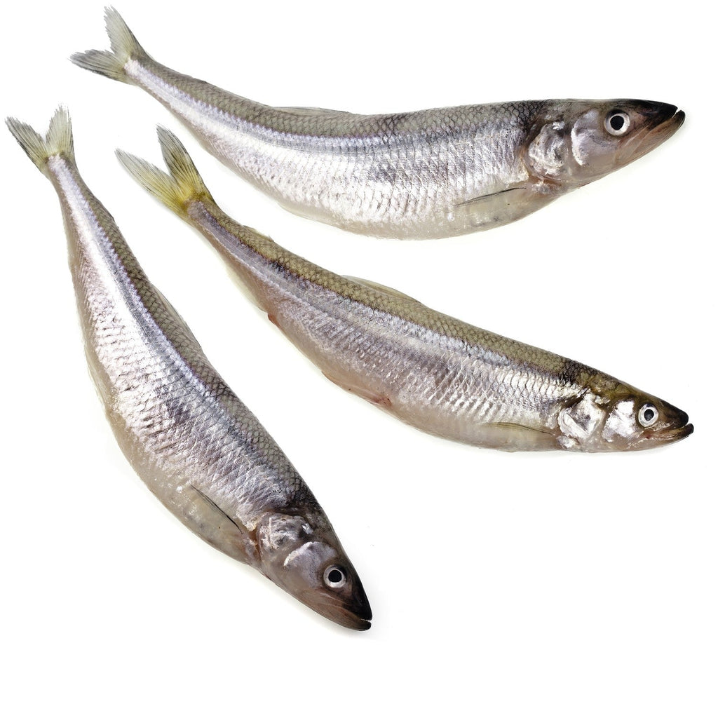Raw Smelt Treat product image 1