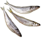 Raw Smelt Treat product image 1