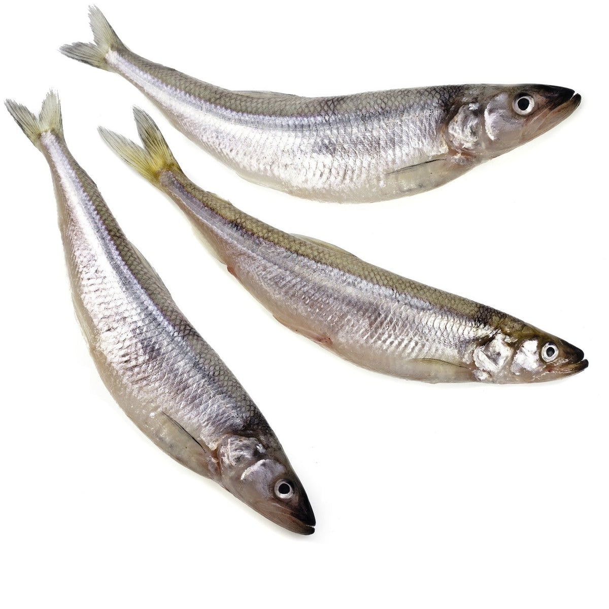 Raw Smelt Treat product image 1