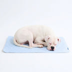 Breathable Cooling Dog Mat product image 4