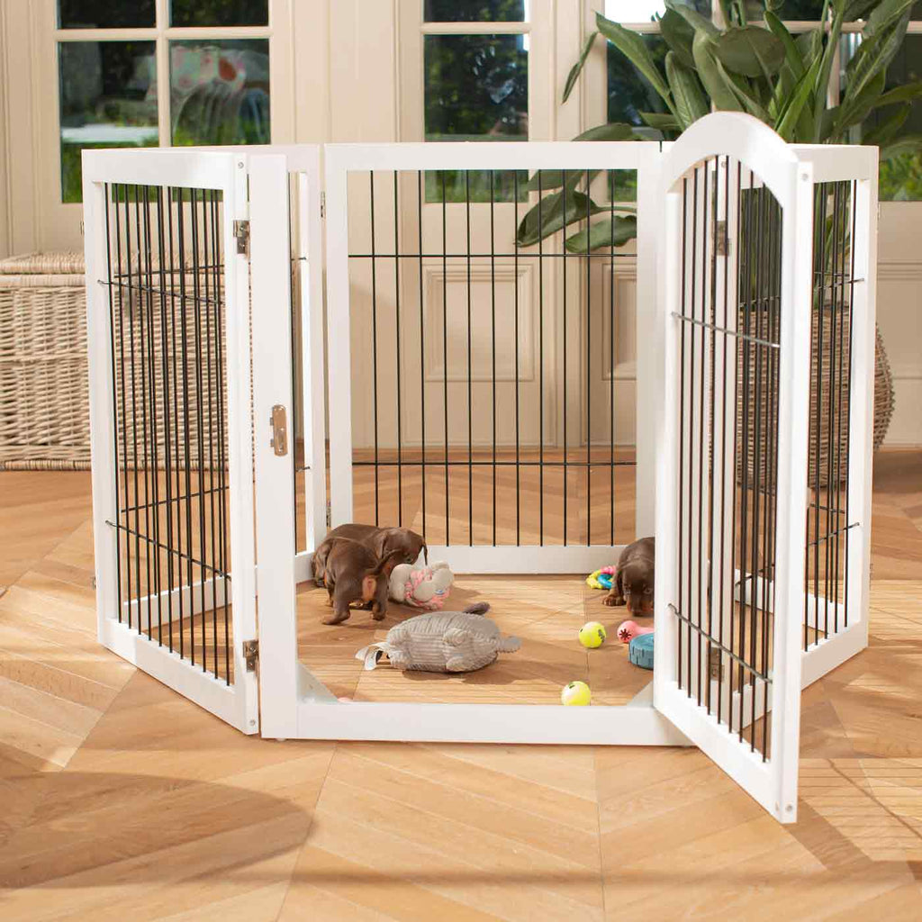 Dog Gates & Pens product image 2