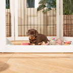 Dog Gates & Pens product image 3