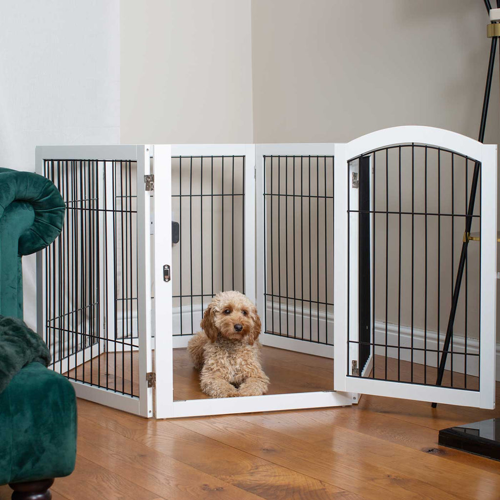 Dog Gates & Pens product image 4