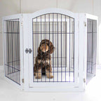 Dog Gates & Pens product image 5