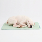Breathable Cooling Dog Mat product image 54