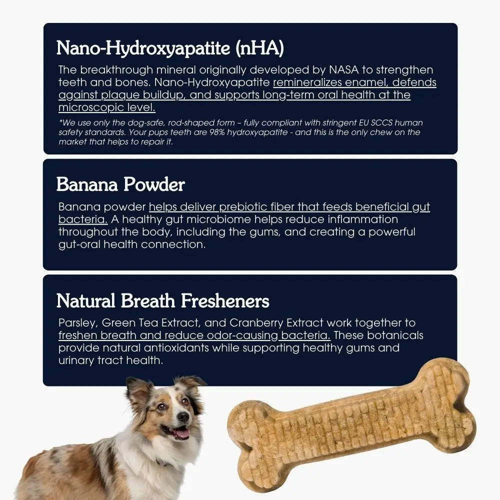 Textured Dog Dental Chews product image 5