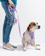 Cushioned No-Pull Dog Harness product image 36