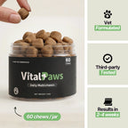 Daily Dog Multivitamin Soft Chews 1 Jar