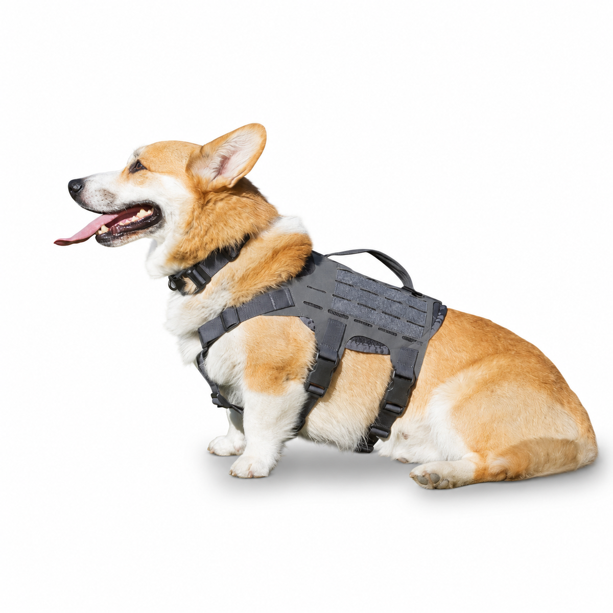 Tactical Dog Harness product image 1