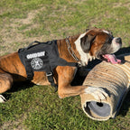 Tactical Dog Harness product image 2