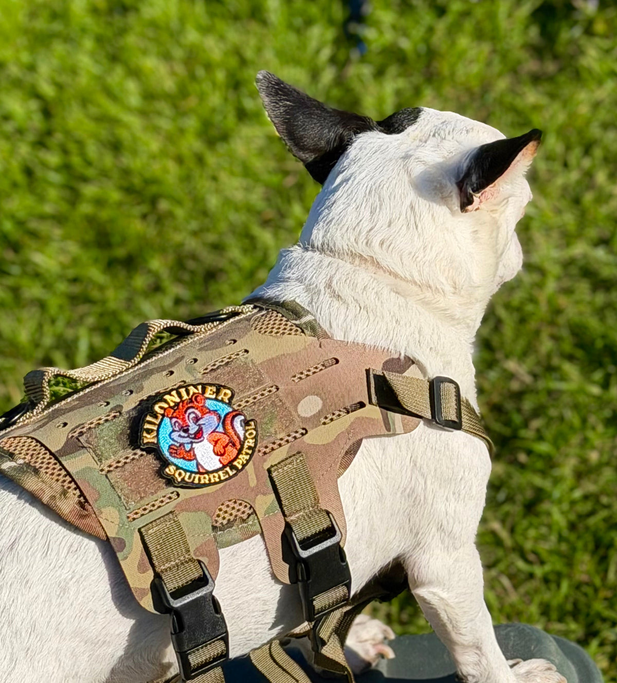 Tactical Dog Harness product image 3
