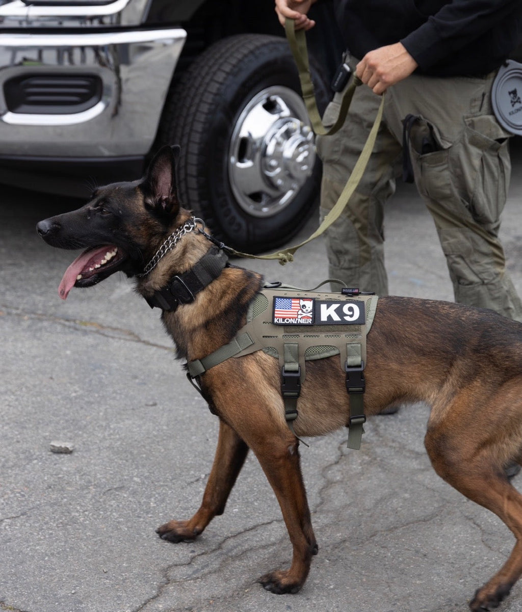 Tactical Dog Harness product image 4