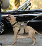 Tactical Dog Harness product image 5