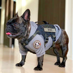 Tactical Dog Harness product image 7