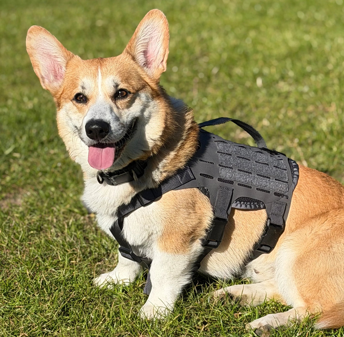 Tactical Dog Harness product image 8
