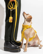 Leash-Attached Dog Waste Bag Dispenser product image 64