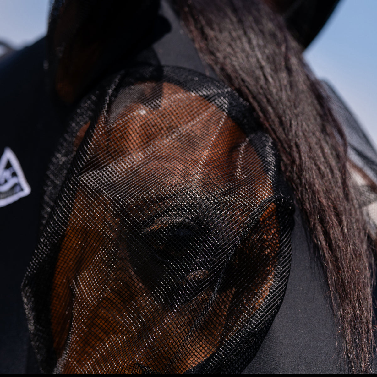 Horse Fly Mask product image 3