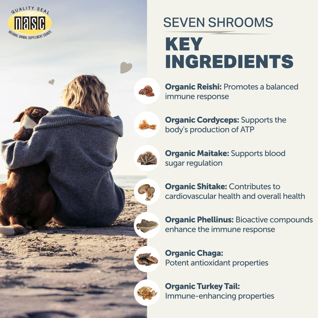 Seven-Mushroom Dog Supplement Powder product image 8