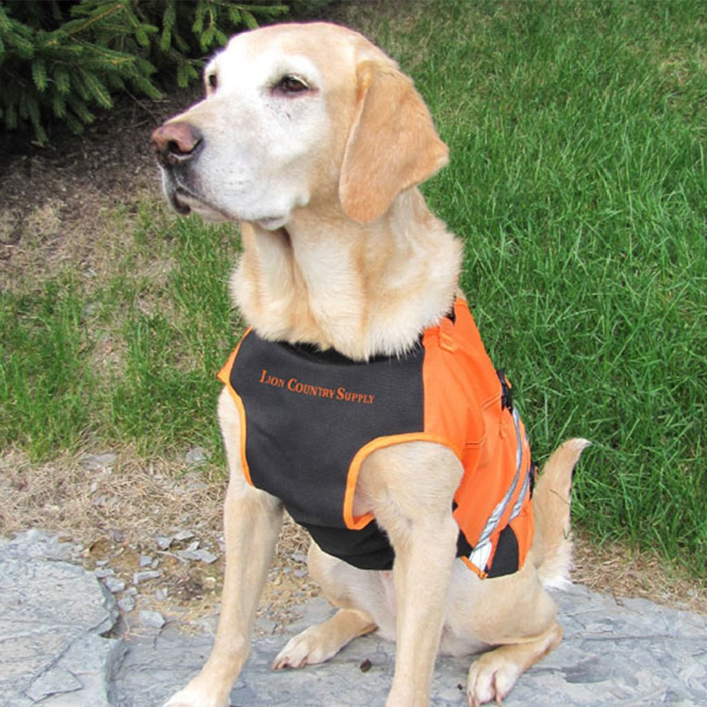 Hunting Dog Vest product image 8