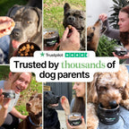 Daily Dog Multivitamin Soft Chews product image 4