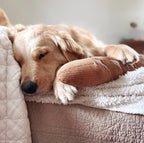 Baguette Enrichment Dog Toy product image 11