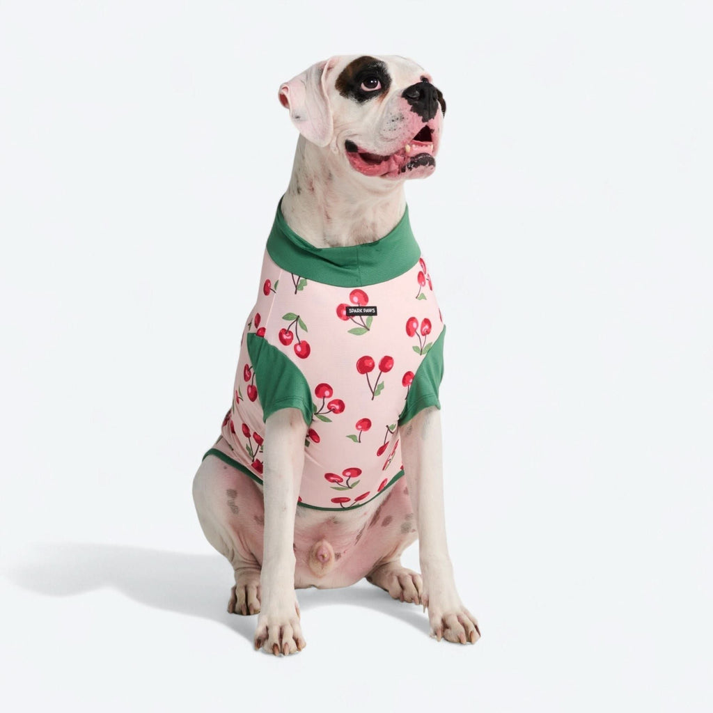 UPF 30 Printed Dog Sun Shirt product image 55