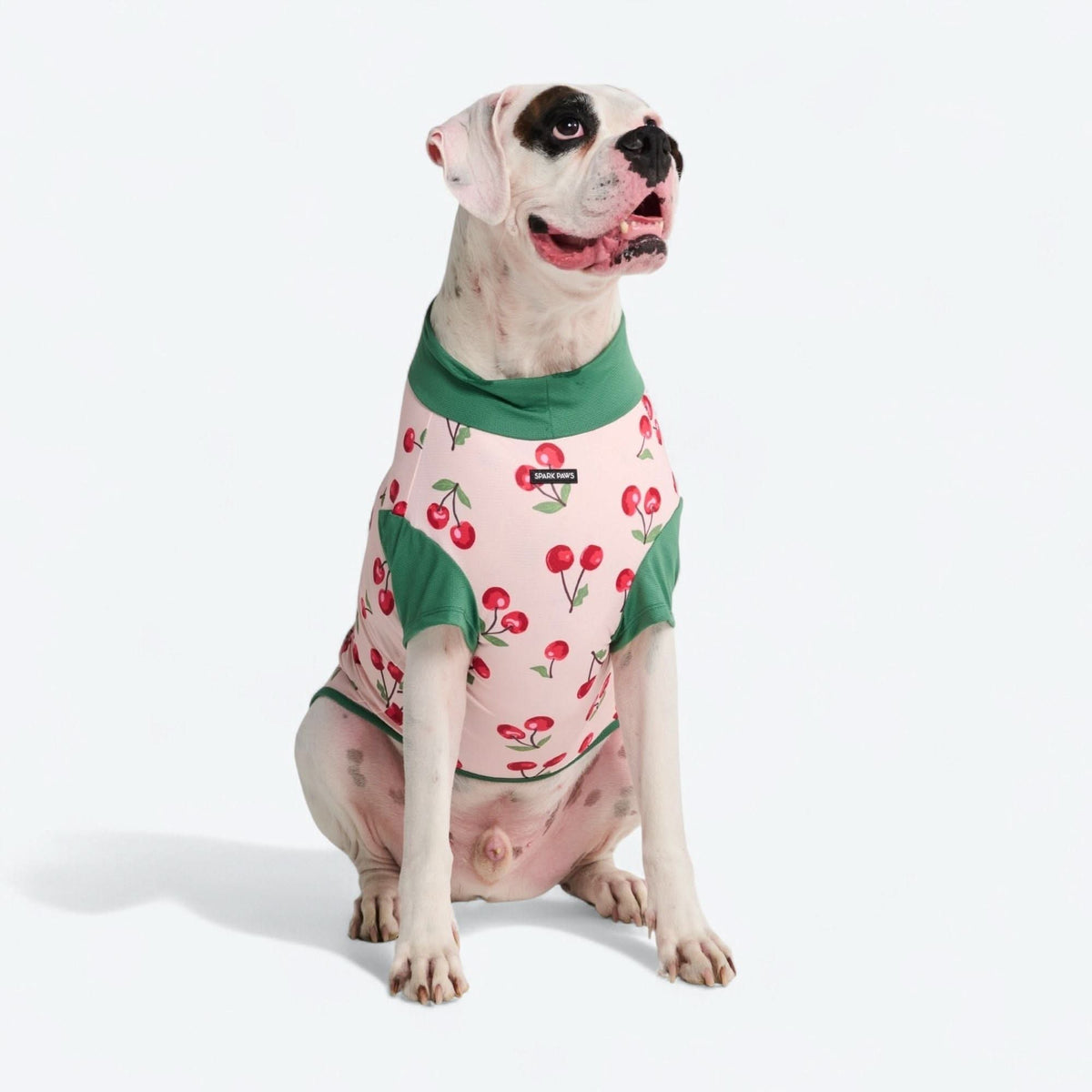 UPF 30 Printed Dog Sun Shirt product image 55