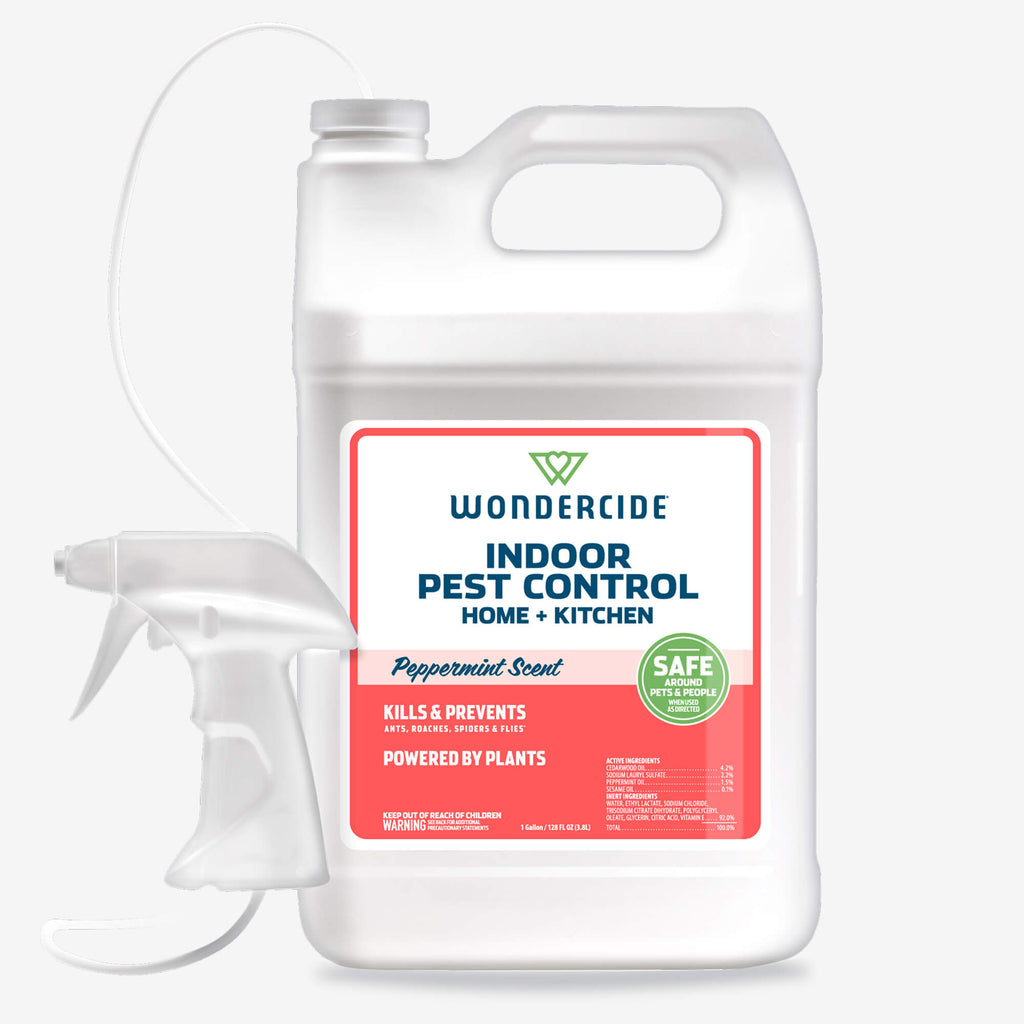 Plant-Based Indoor Pest Control Spray product image 8