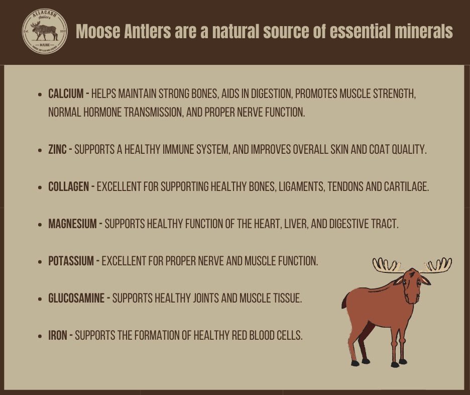 Moose Antler Paddle Dog Chew product image 13